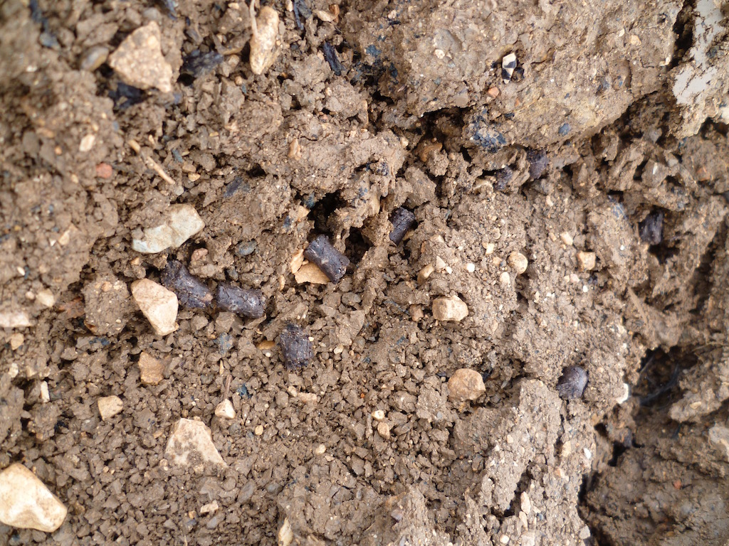 engraisアングレ（肥料）の顆粒が撒かれた土壌