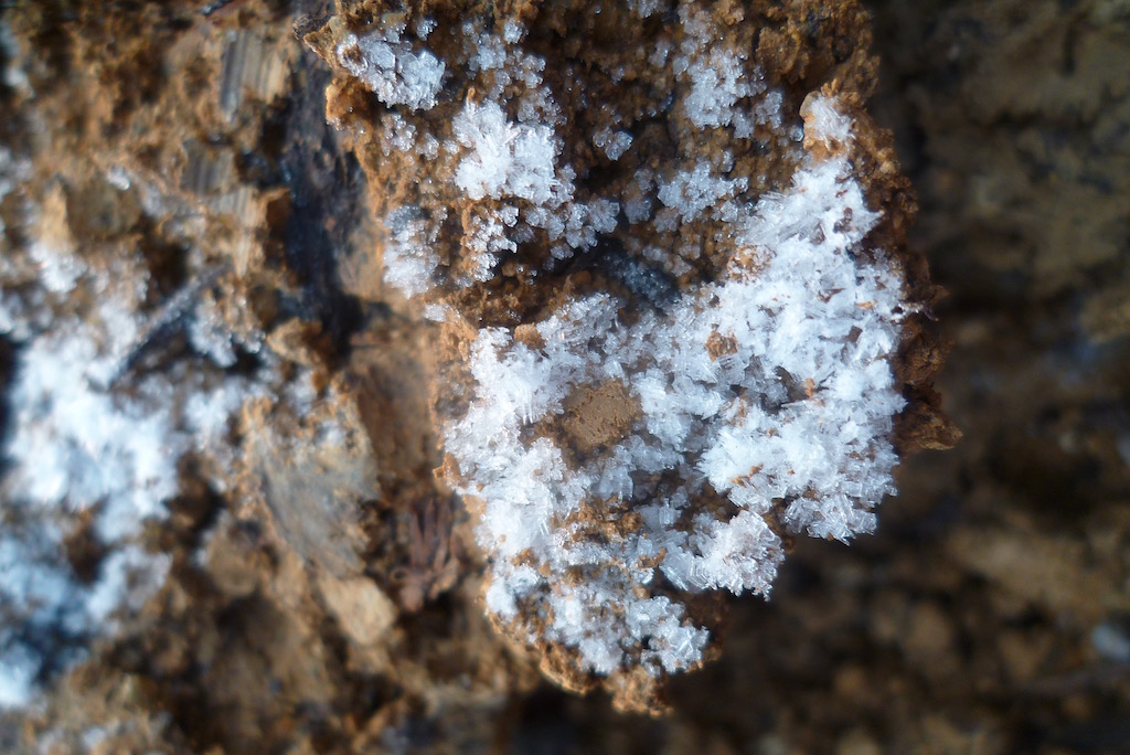 霜が下り、固く凍りついた土