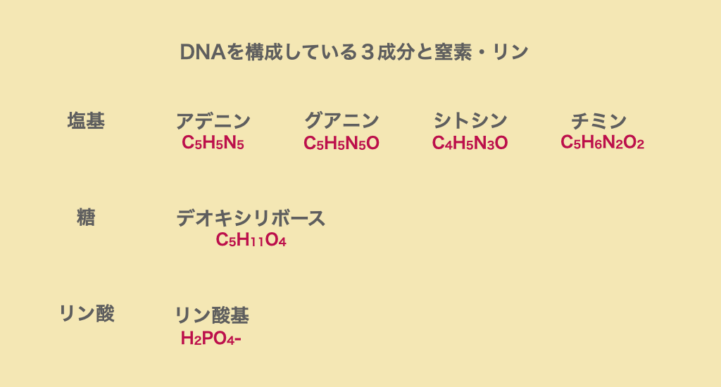 DNA構成する３要素には、窒素(N)とリン(P)が必須です。