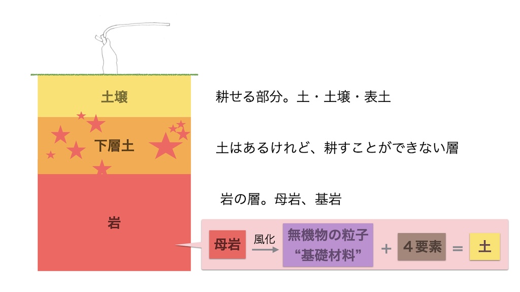 だからこの岩は母岩と呼ばれるし、この岩と土には親子関係がある。そう考えてみると、２番目の層は岩から土壌ができていく過程の層と捉えることができます。