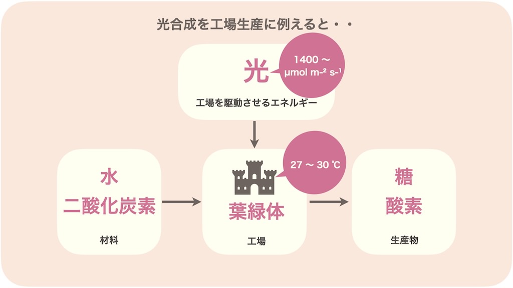 ぶどう樹の光合成に最適な温度は27〜30°C、厳密にいうと葉っぱの温度です。